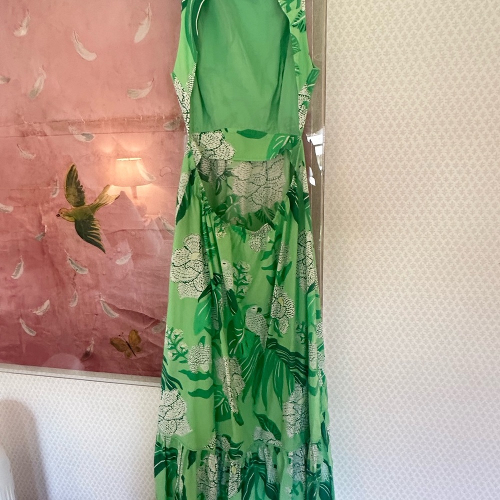 Green Farm Rio Maxi Dress - Picture 5 of 6